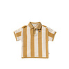 Bold Stripe | Casual Polo Multicolor
