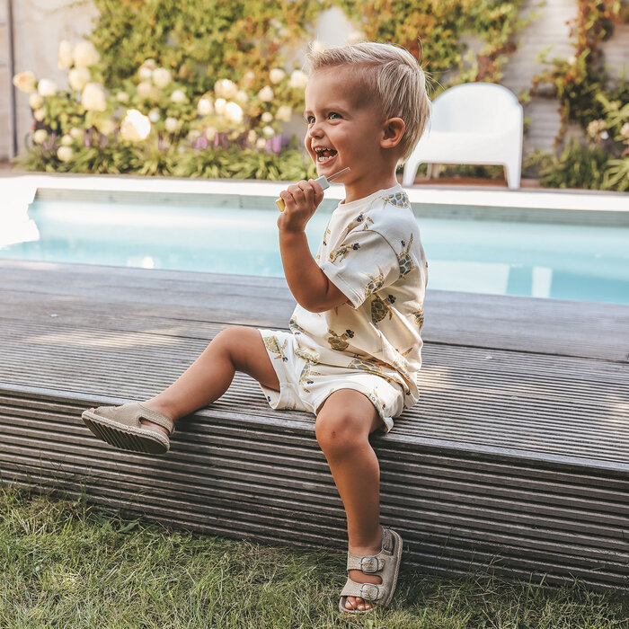 Your Wishes Cool Turtle | Relaxed Shorts Antique White