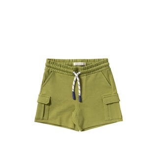 Your Wishes Solid | Cargo Shorts Iguana