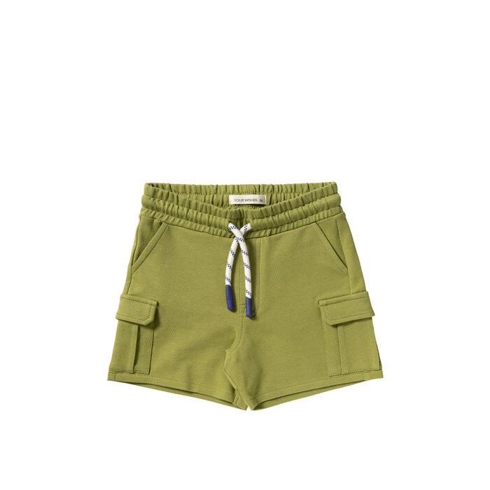 Your Wishes Solid | Cargo Shorts Iguana
