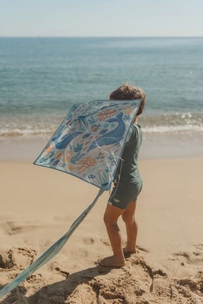 Little Dutch Vlieger - Blauw - Ocean World