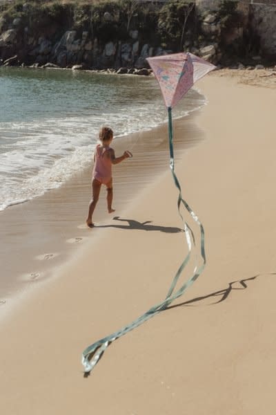 Little Dutch Vlieger - Roze - Dreamy Mermaid