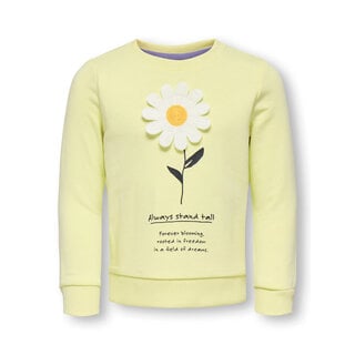 Kids Only KMGGINNIE LS REG PRINT UB SWT Yellow