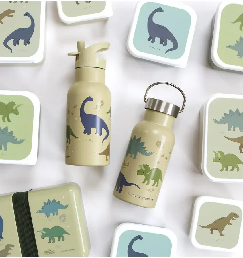 A Little Lovely Company RVS drinkfles: Dinosaurussen