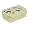 Bento lunch box: Dinosaurussen