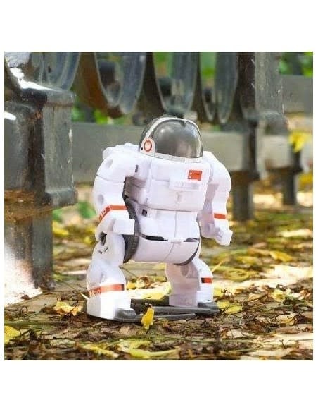 Satzuma Satzuma - 6-in-1 Space Robots bouwpakket