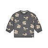 baby boys sweatshirt Antra