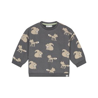 Babyface baby boys sweatshirt Antra