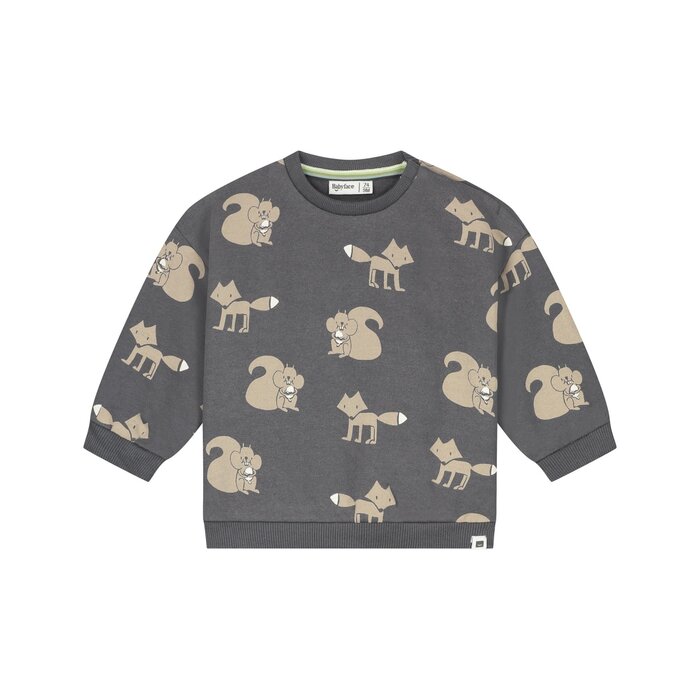 Babyface baby boys sweatshirt Antra