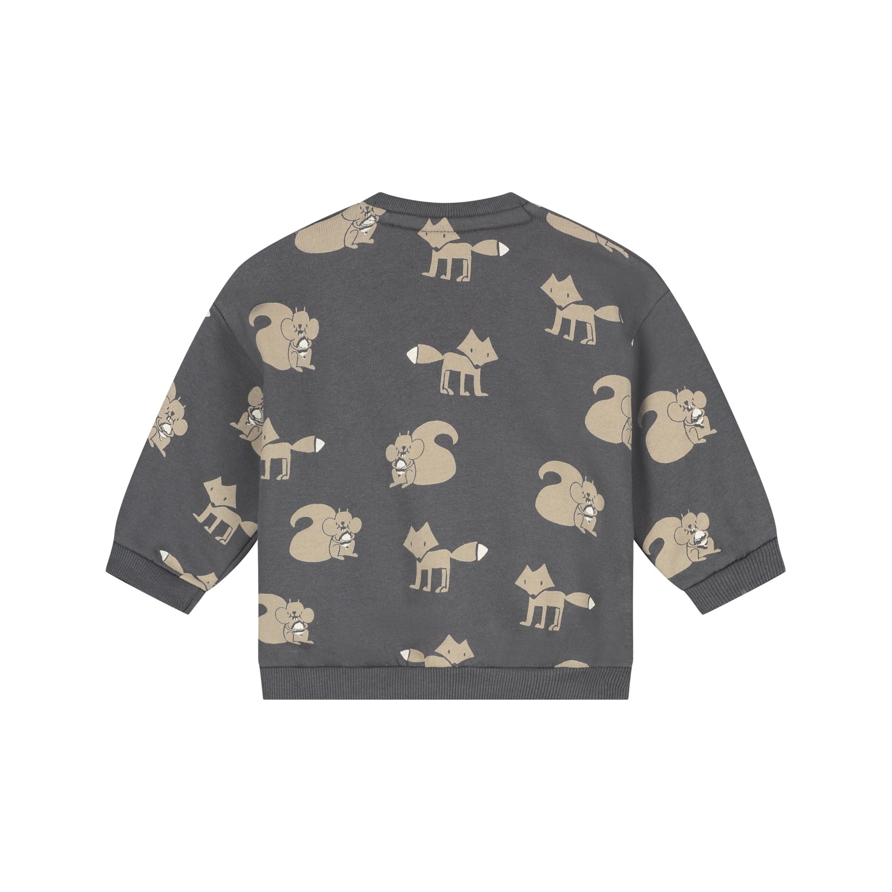Babyface baby boys sweatshirt Antra