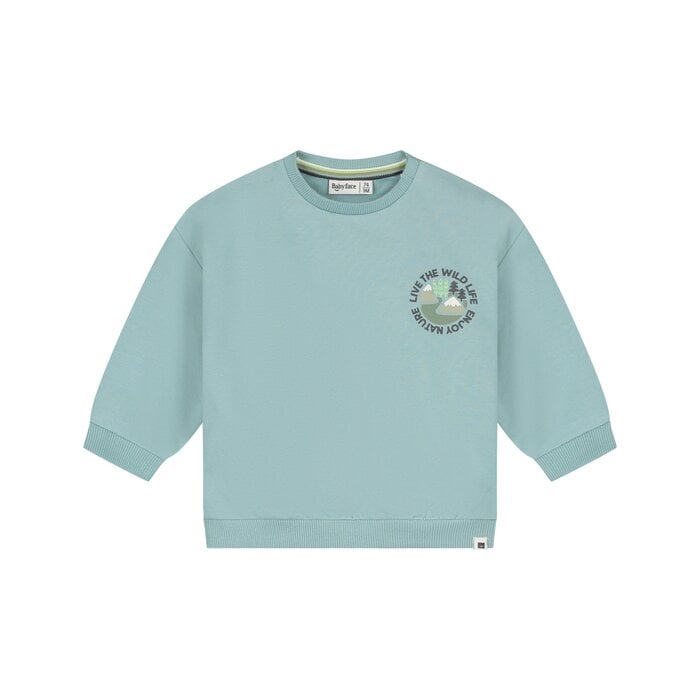 Babyface baby boys sweatshirt Sky