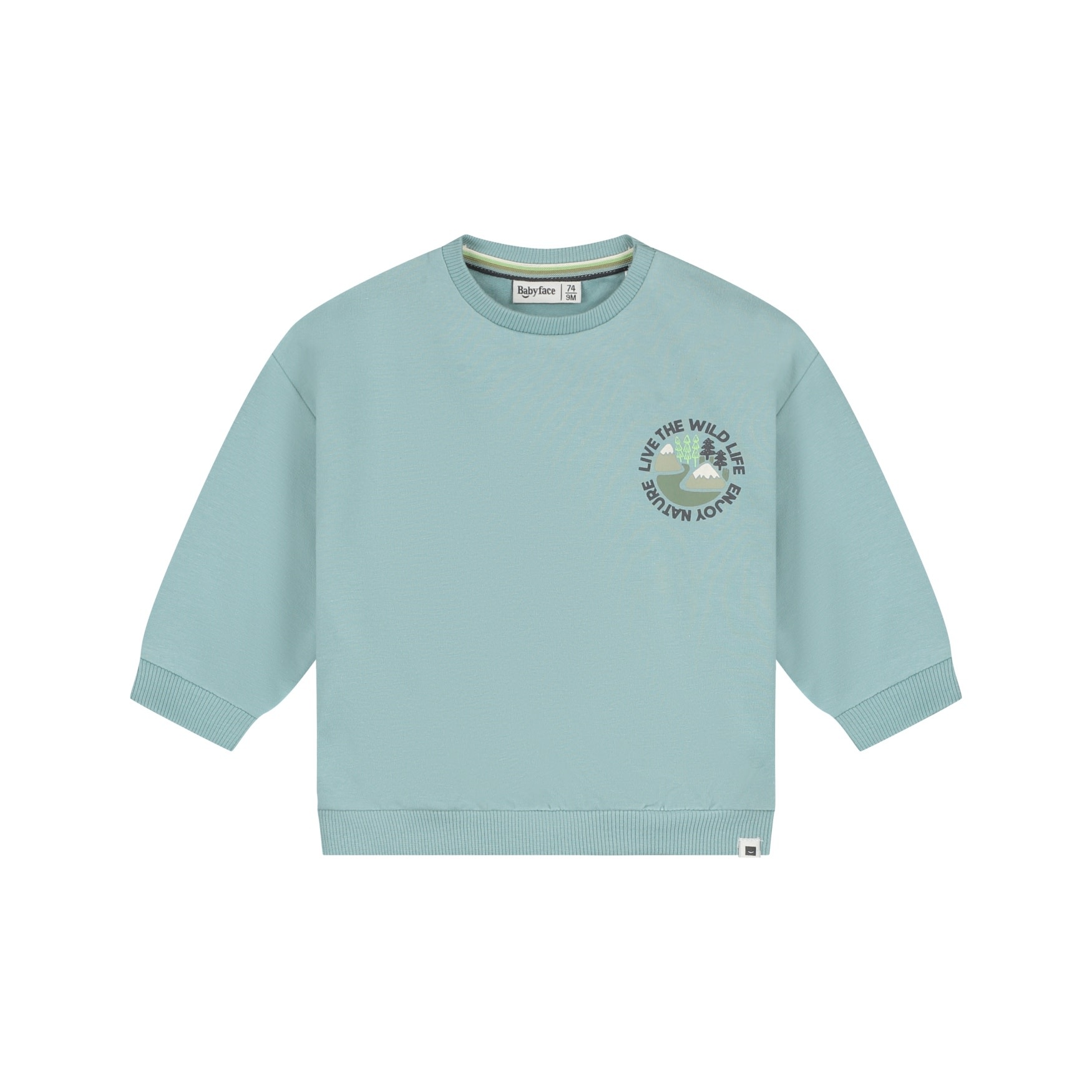 Babyface baby boys sweatshirt Sky