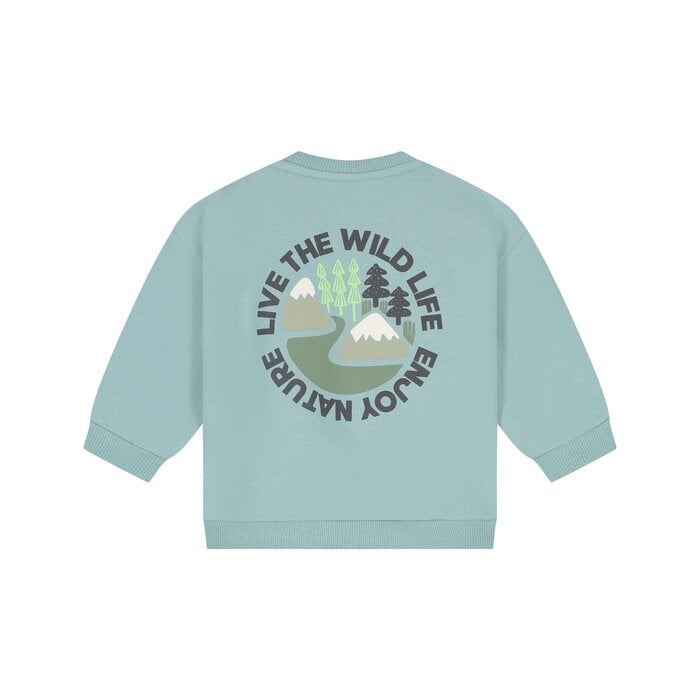 Babyface baby boys sweatshirt Sky