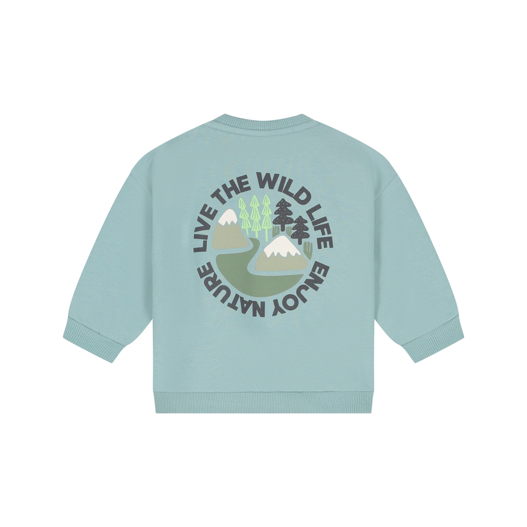 Babyface baby boys sweatshirt Sky