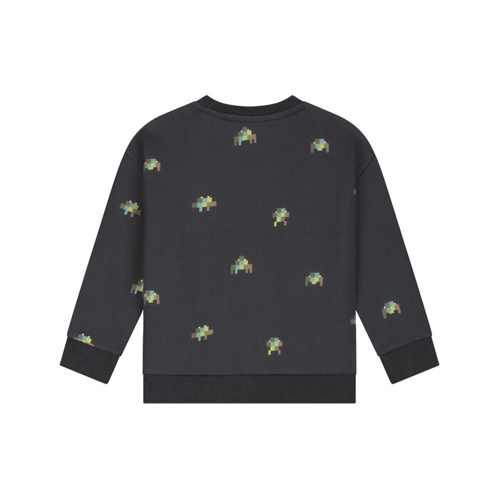 Stains & Stories boys sweatshirt Antra