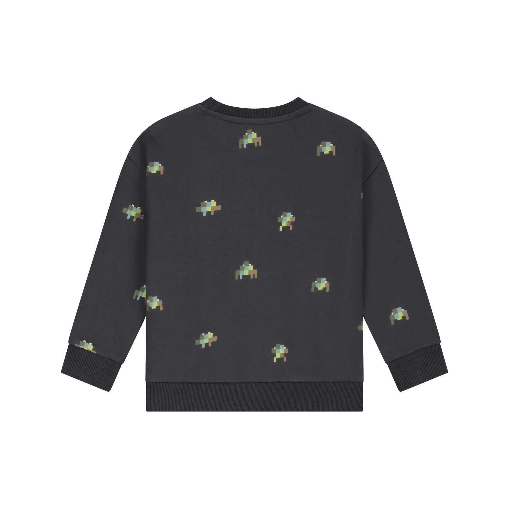 Stains & Stories boys sweatshirt Antra