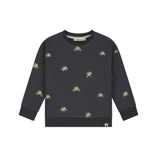 Stains & Stories boys sweatshirt Antra