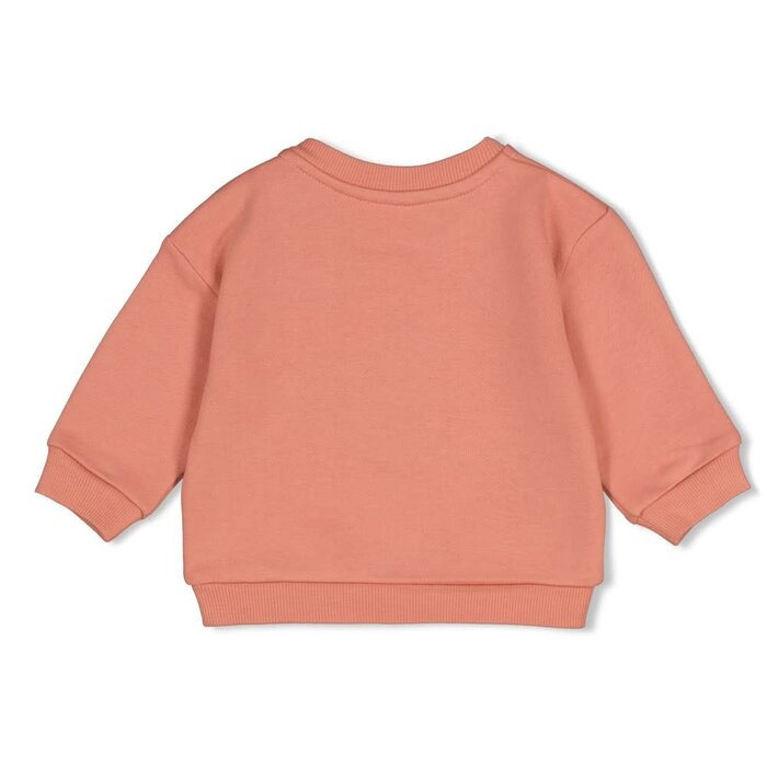 Feetje Sweater oversized Roze - Forest Garden
