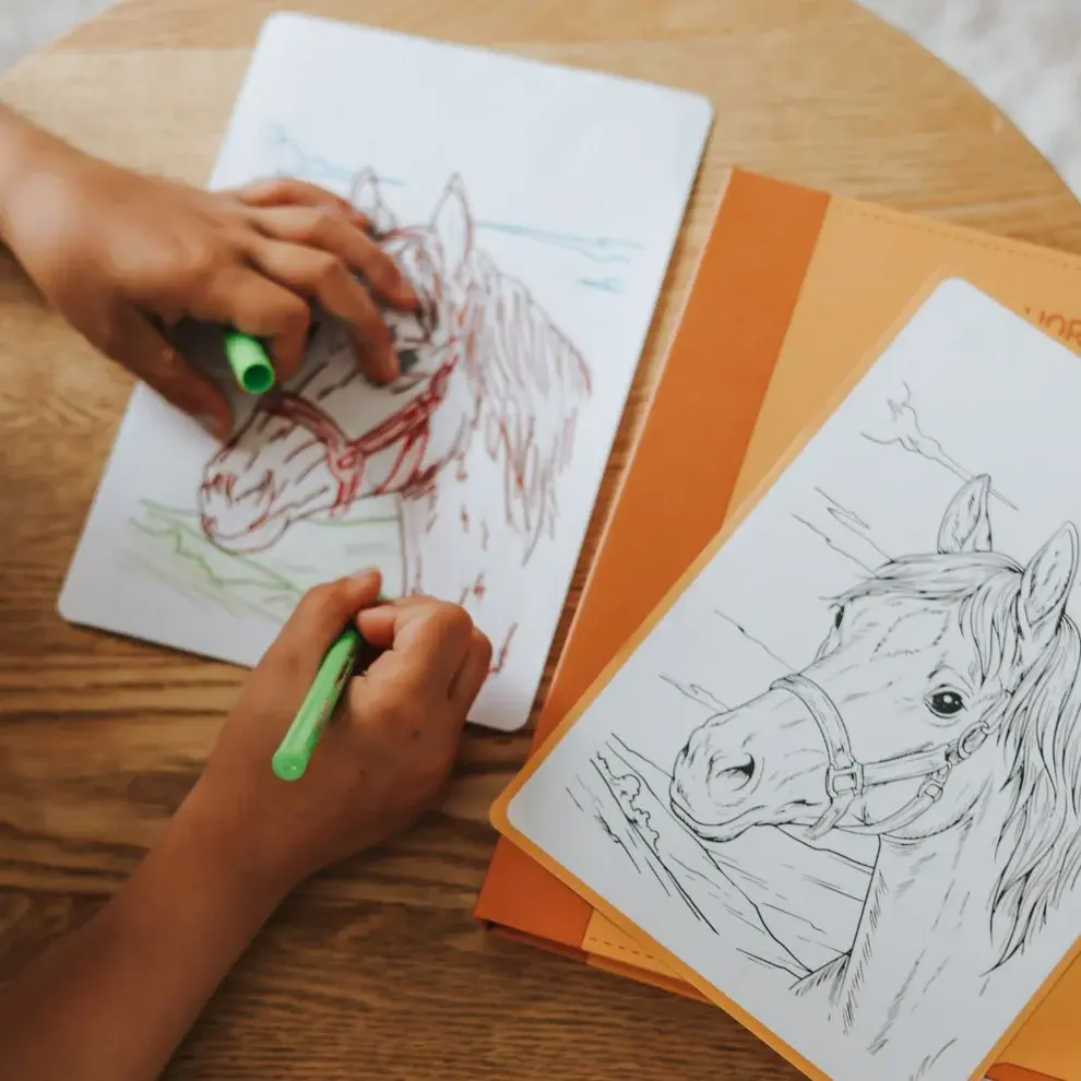 Kidywolf KIDYDRAW-PAD REFILL 8 Horses