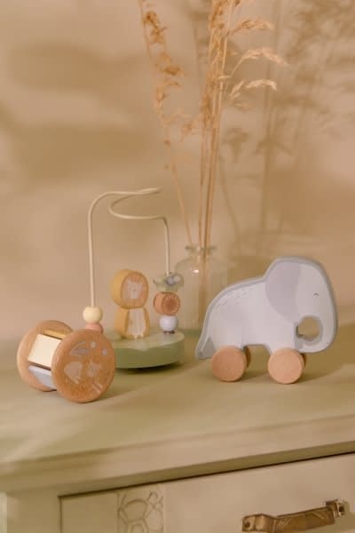 Little Dutch LD giftset hout SF FSC