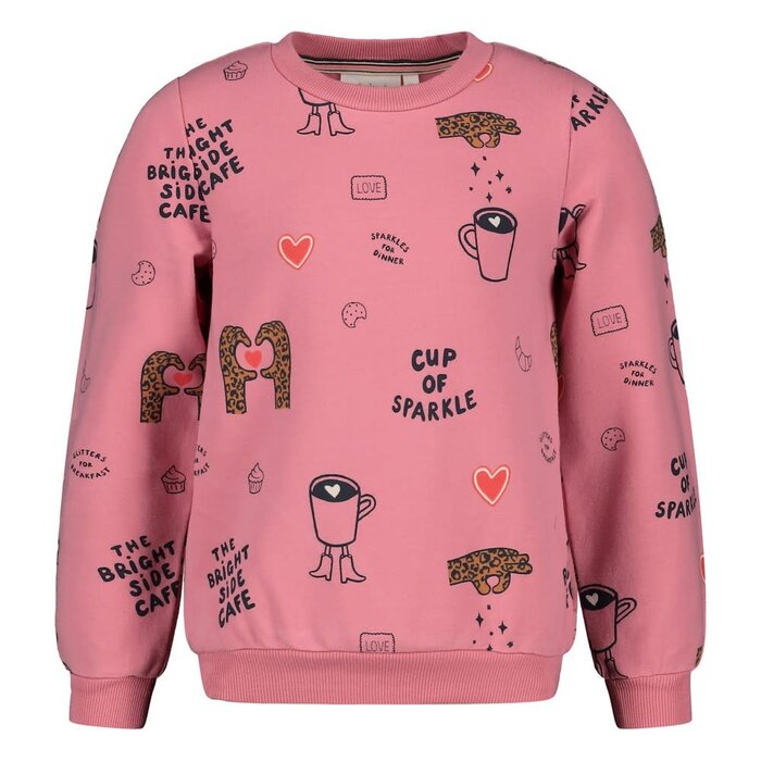 Jubel Sweater AOP relaxed fit Roze - City Chic