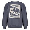 Sweater met backprint oversized Blauw - Rock the Earth
