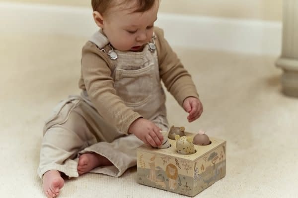 Little Dutch LD Pop-up speelgoed SF FSC