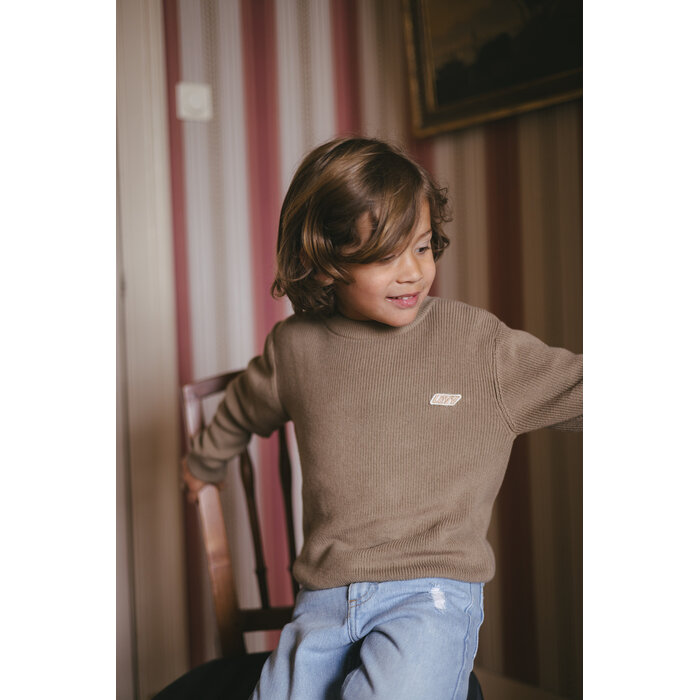 Levv Sweater LW261DIEDE Dark Sand
