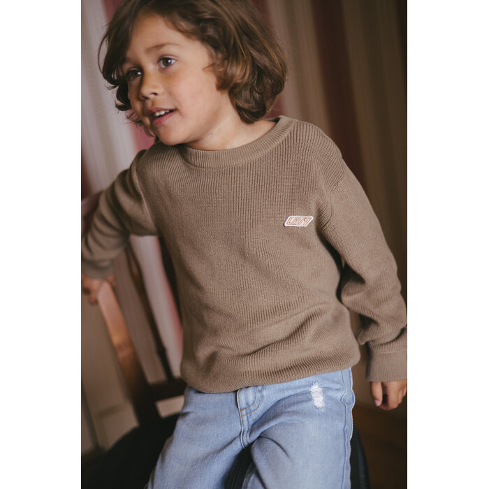 Levv Sweater LW261DIEDE Dark Sand