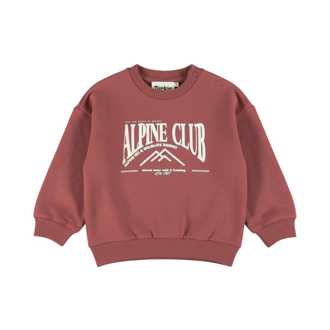 Dirkje Sweater, loose fit Roan Rouge