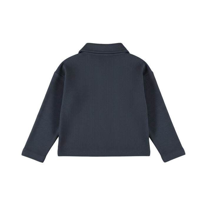 Dirkje Polo longsleeve Blueberry