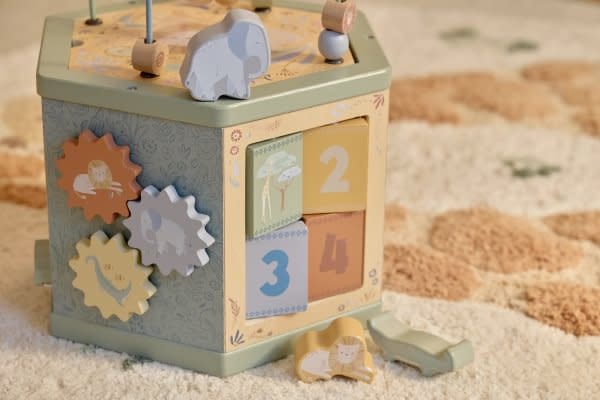 Little Dutch LD activiteitenhexagon SF FSC