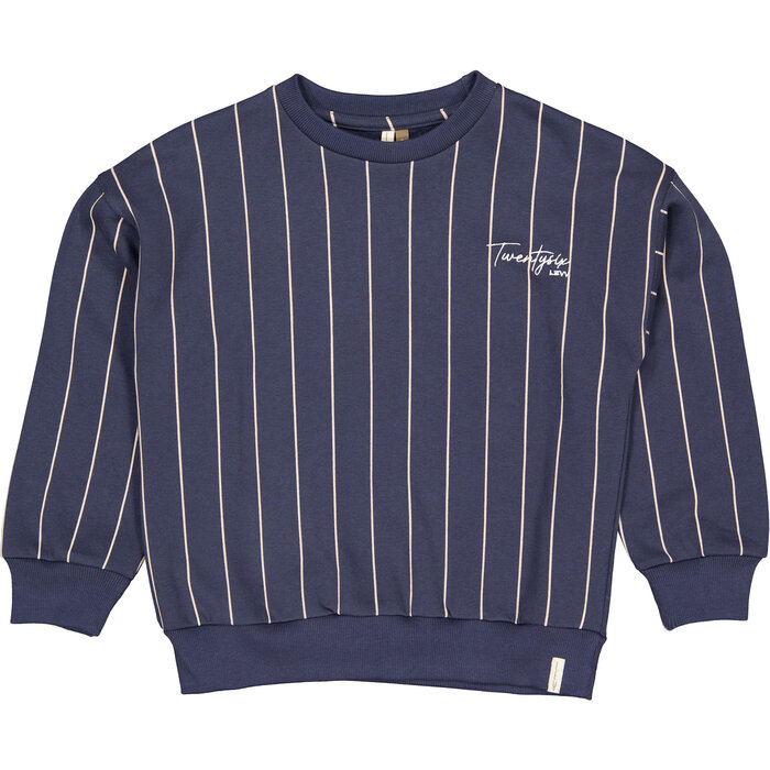 Levv Sweater LW262DAY AOP Blue Stripe