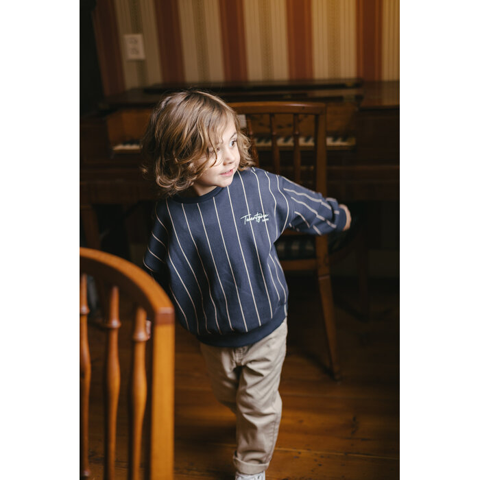 Levv Sweater LW262DAY AOP Blue Stripe
