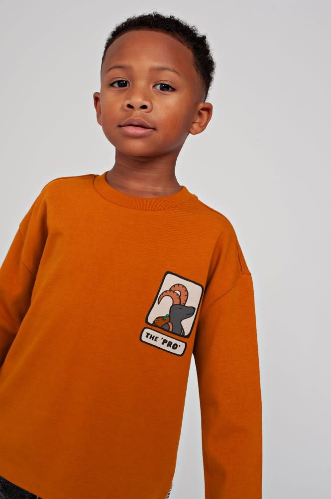 Sturdy Longsleeve oversized Oranje - Mountain top