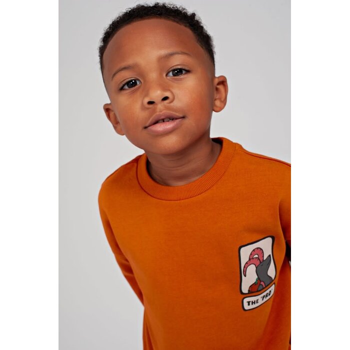 Sturdy Longsleeve oversized Oranje - Mountain top