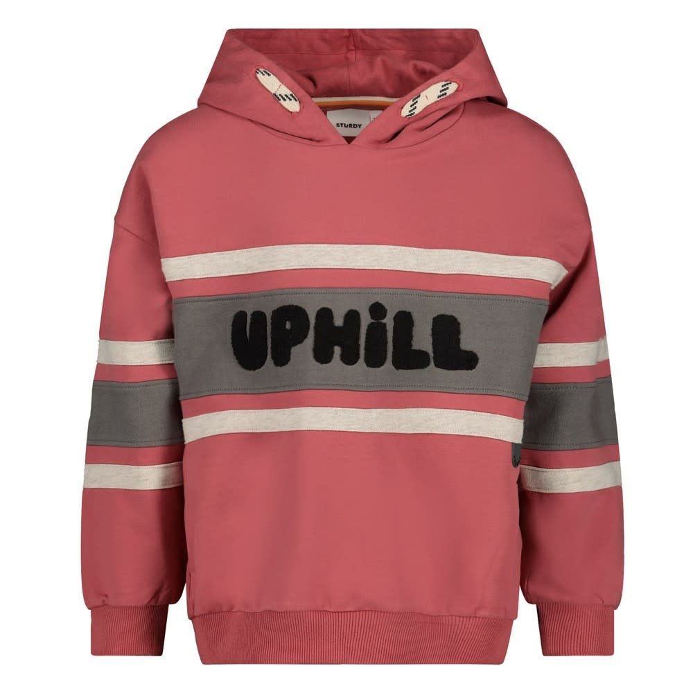 Sturdy Hoody oversized Rood - Mountain top