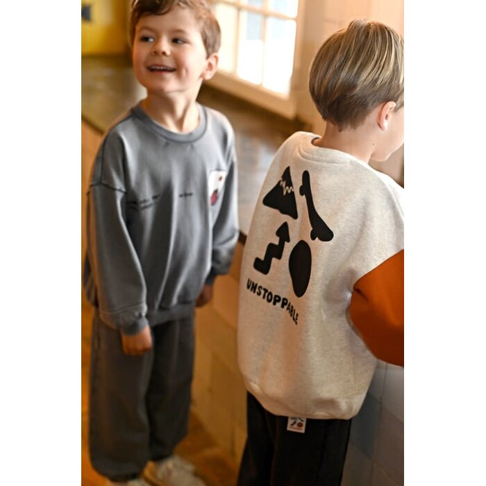 Sturdy Sweater met backprint oversized Grijs - Mountain top