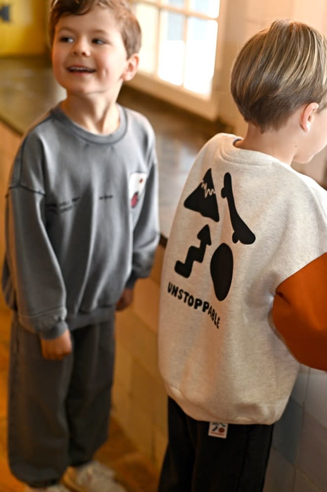 Sturdy Sweater met backprint oversized Grijs - Mountain top