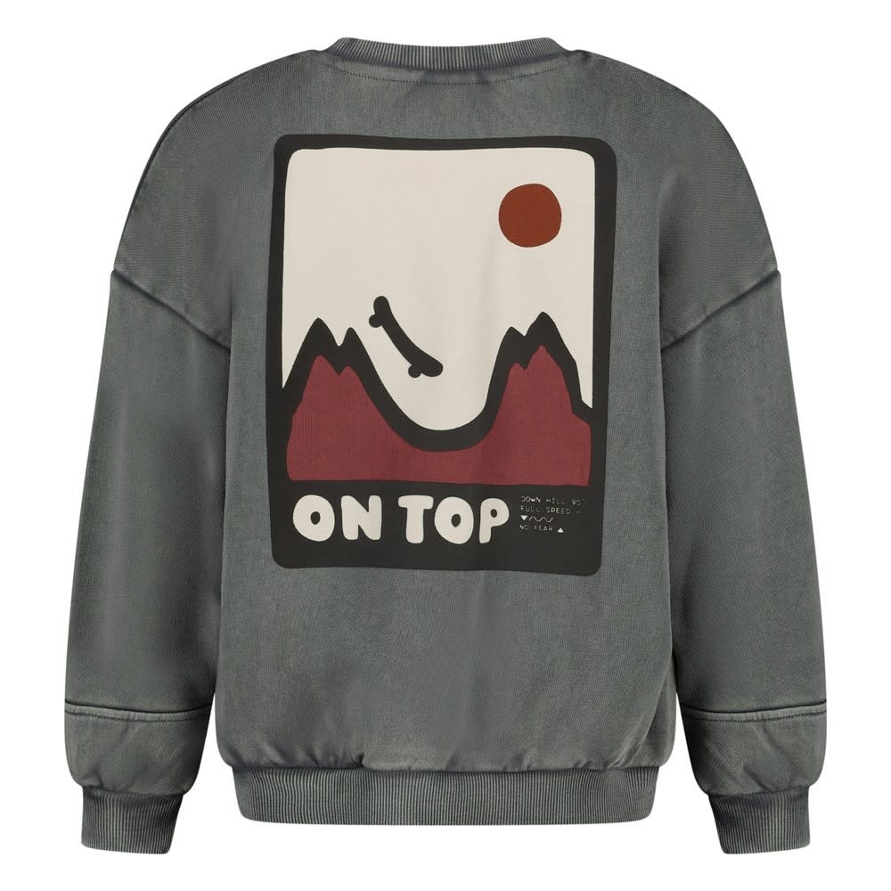 Sturdy Sweater met backprint oversized Grijs - Mountain top