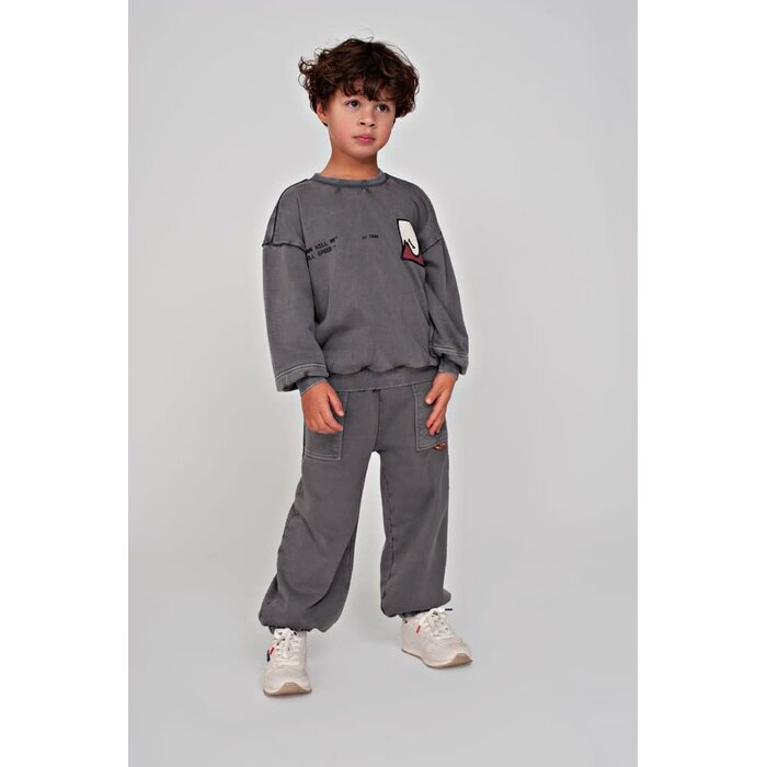Sturdy Broek loose fit Grijs - Mountain top