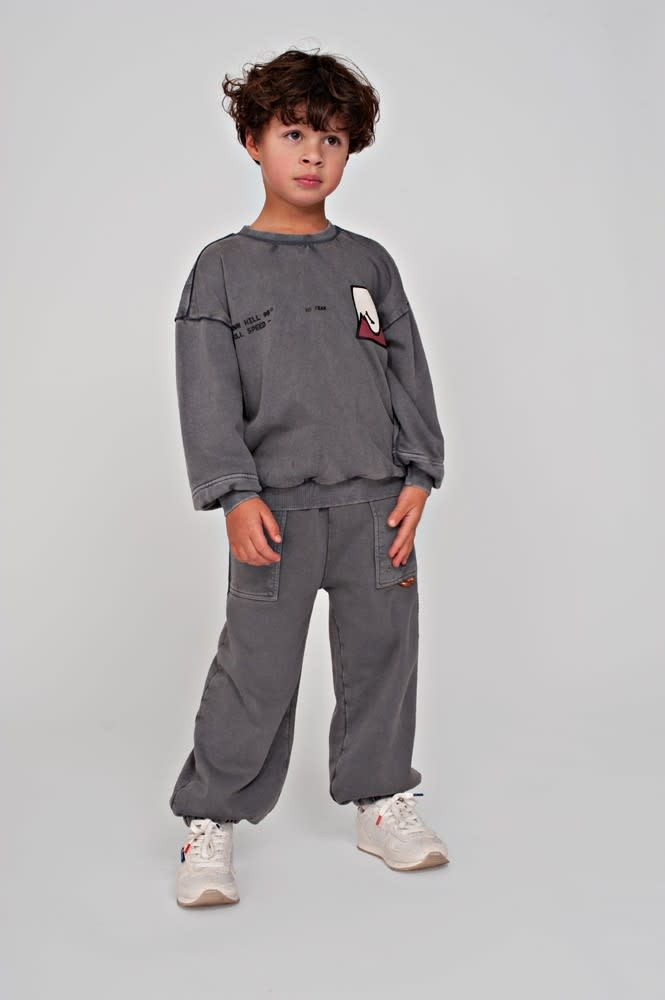 Sturdy Broek loose fit Grijs - Mountain top