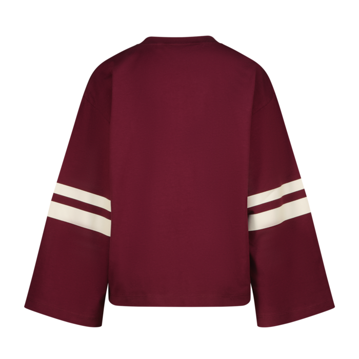 Raizzed Tiana Maroon Banner