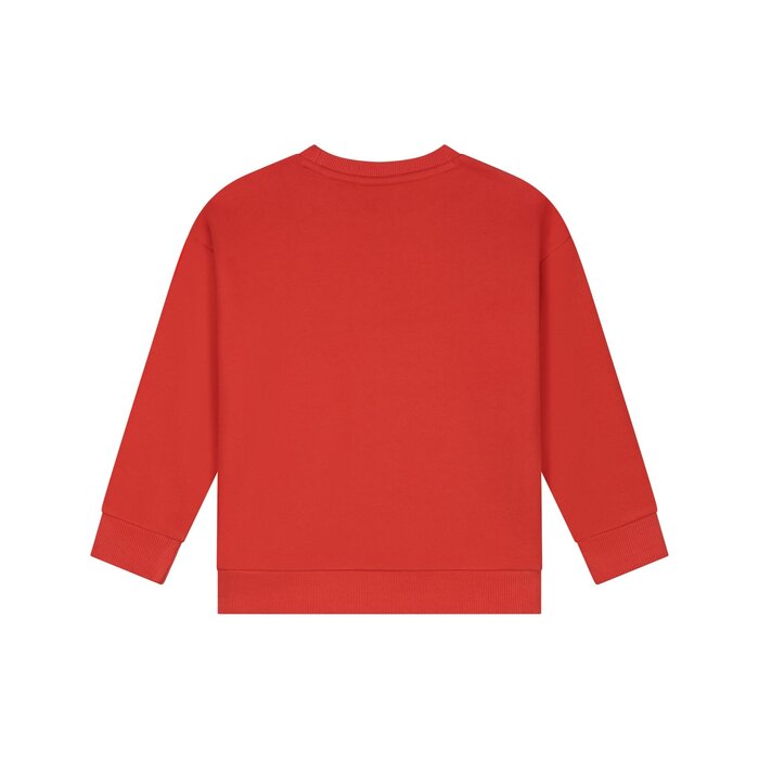 Stains & Stories boys sweatshirt Red