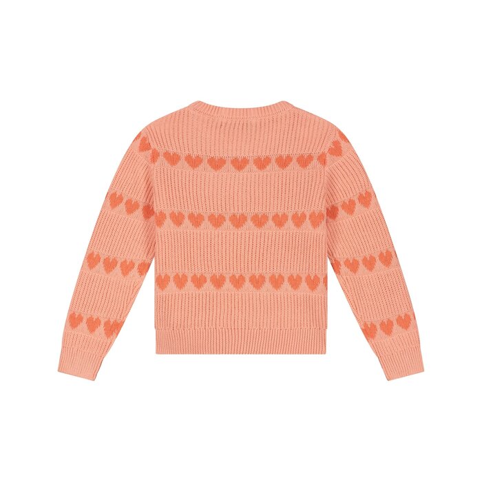 Stains & Stories girls pullover Salmon
