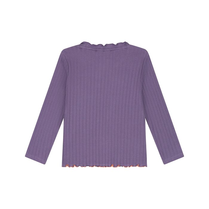 Stains & Stories girls t-shirt long sleeve Grape
