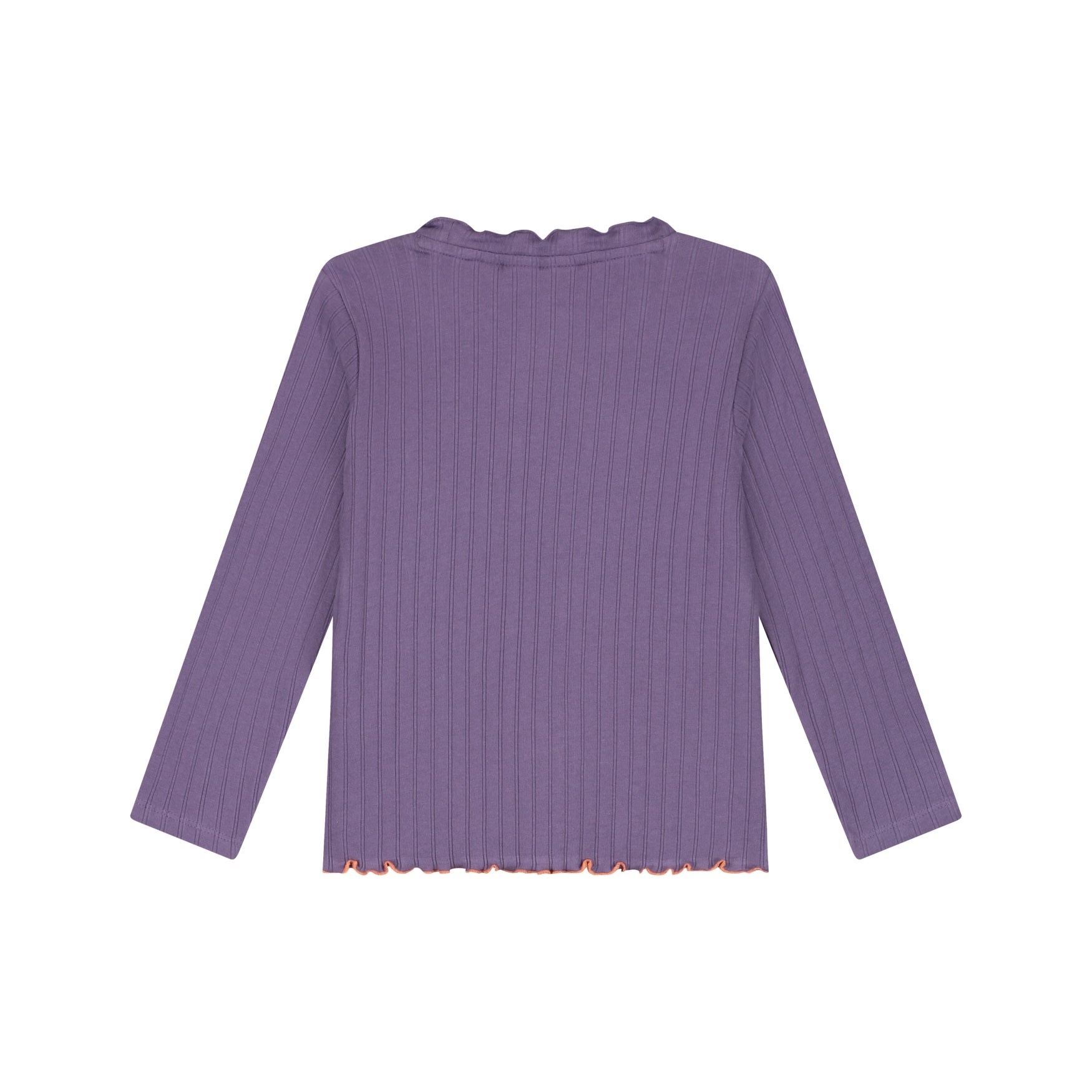 Stains & Stories girls t-shirt long sleeve Grape