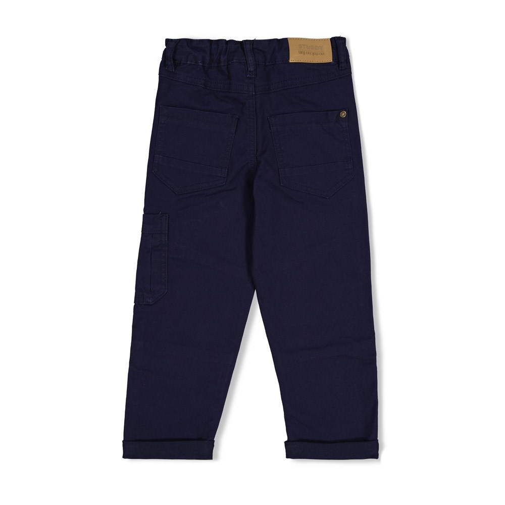 Sturdy Broek loose fit - Rock the Earth