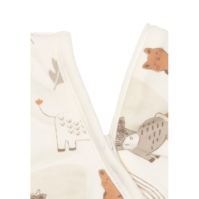 Jollein Slaapzak met afritsbare mouw 90cm Barn Buddies