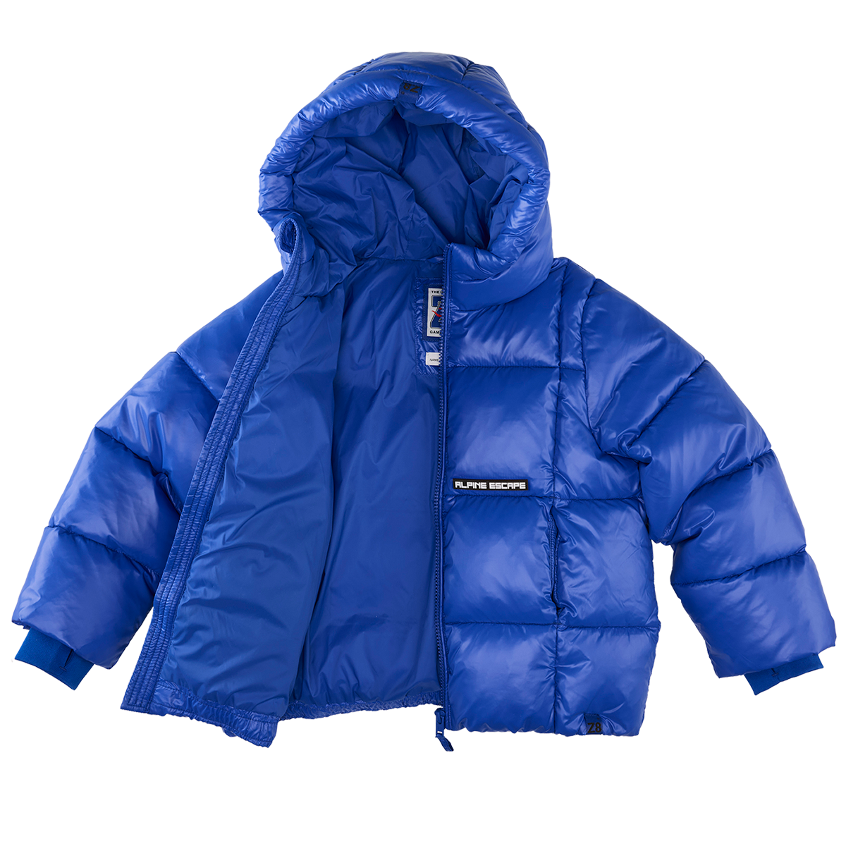 Z8 Benso Electric blue
